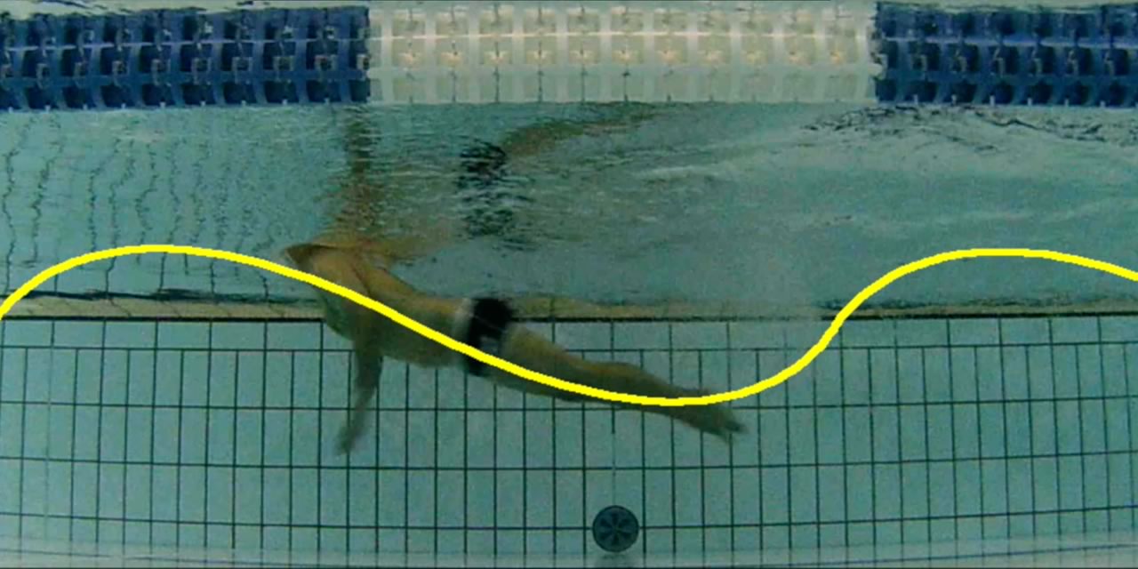 うねりの大きいバタフライを推奨する理由 後編 Swimming Jp 2ページ