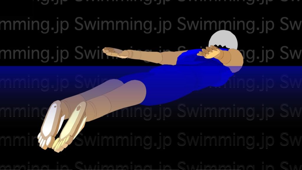 水泳 バタフライの泳ぎ方 ストロークの仕方とストロークのタイミング Swimming Jp