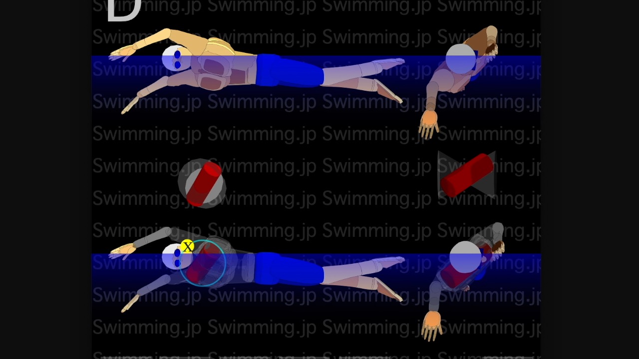 クロール キャッチアップはなぜ必要 ストロークの効率を考える Swimming Jp